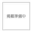 画像3: センペルビウム　　ハウスマニー (3)